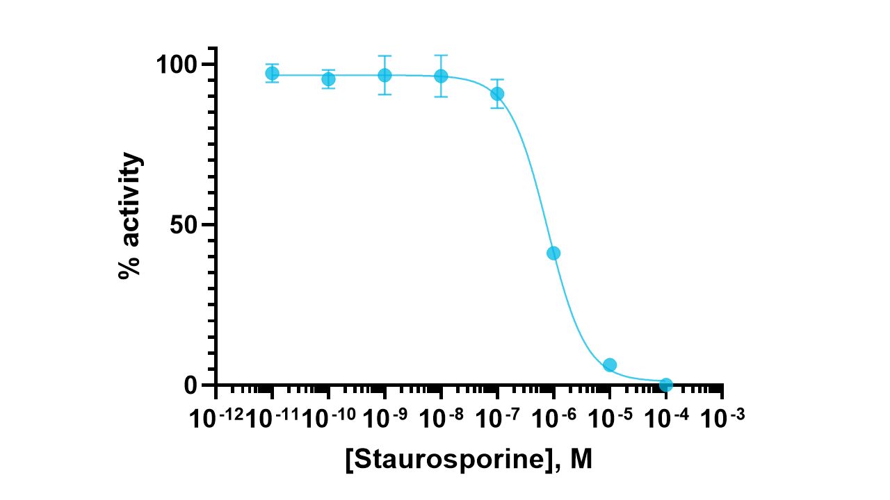 PIM2 Kinase Enzyme Activity Assay Kit