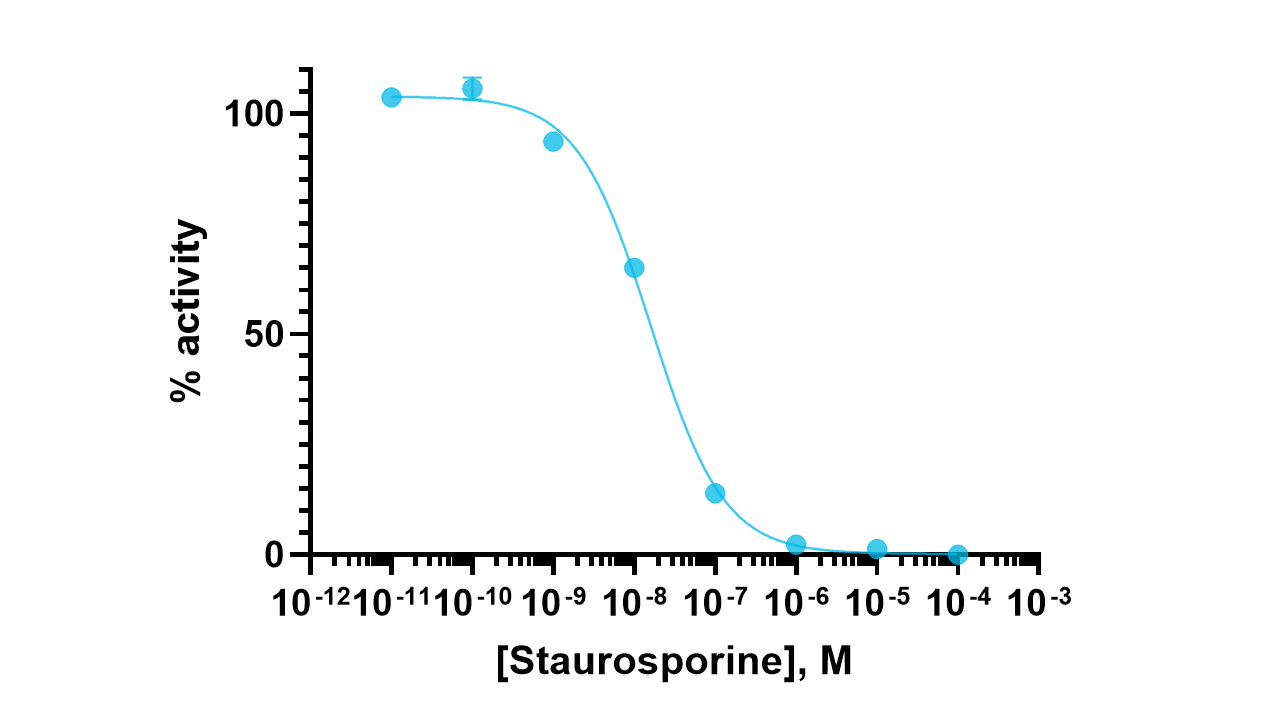 MSK2 Kinase Enzyme Activity Assay Kit