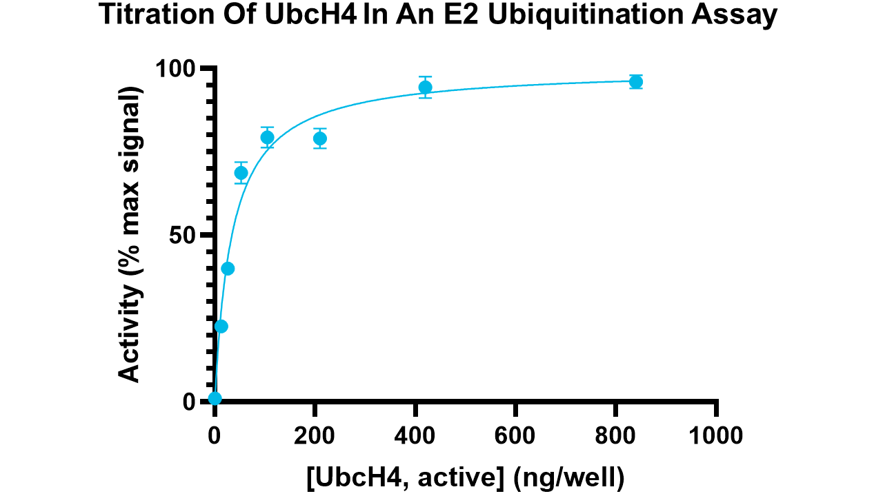 UbcH4, active
