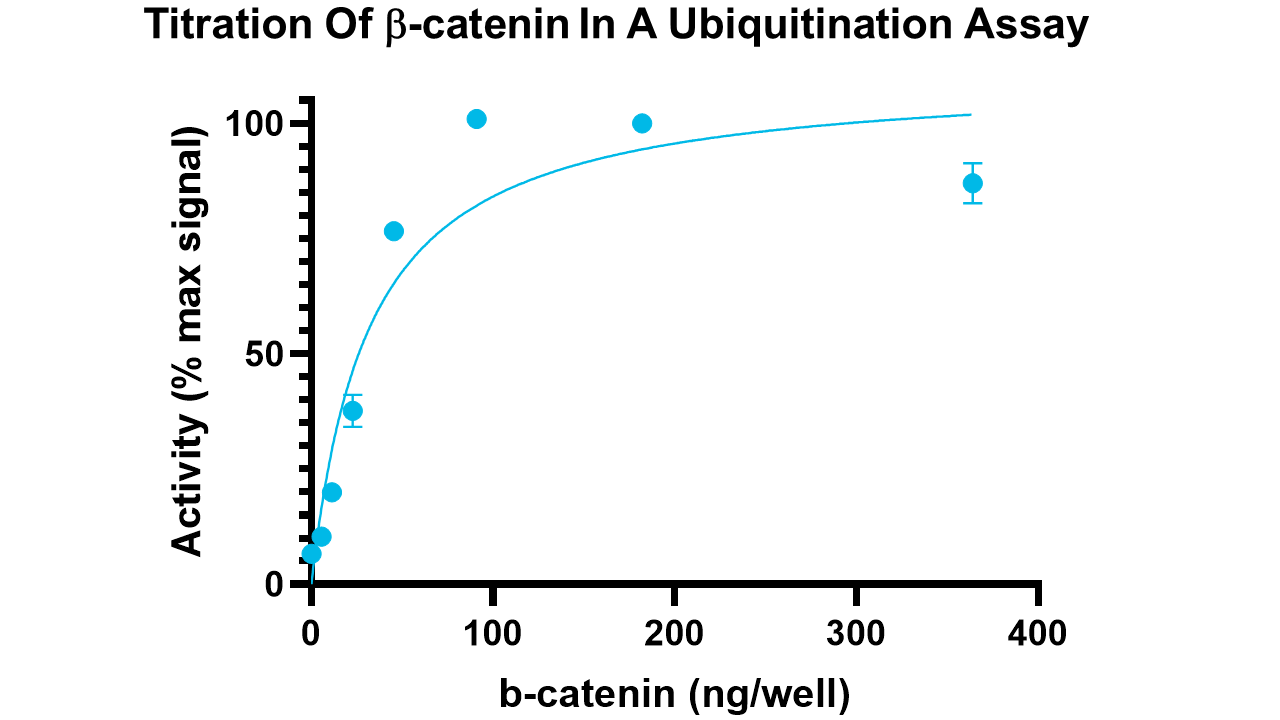 beta-catenin, activated