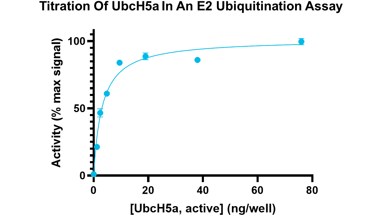 UbcH5a, active