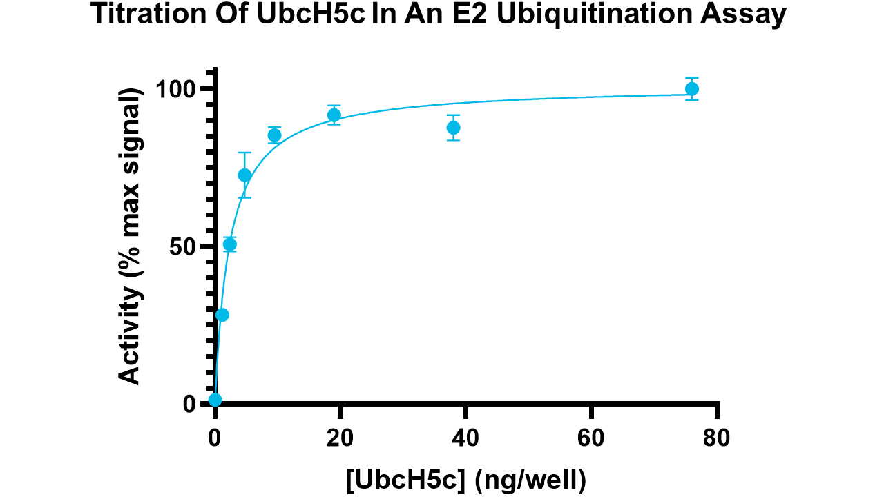 UbcH5c, active