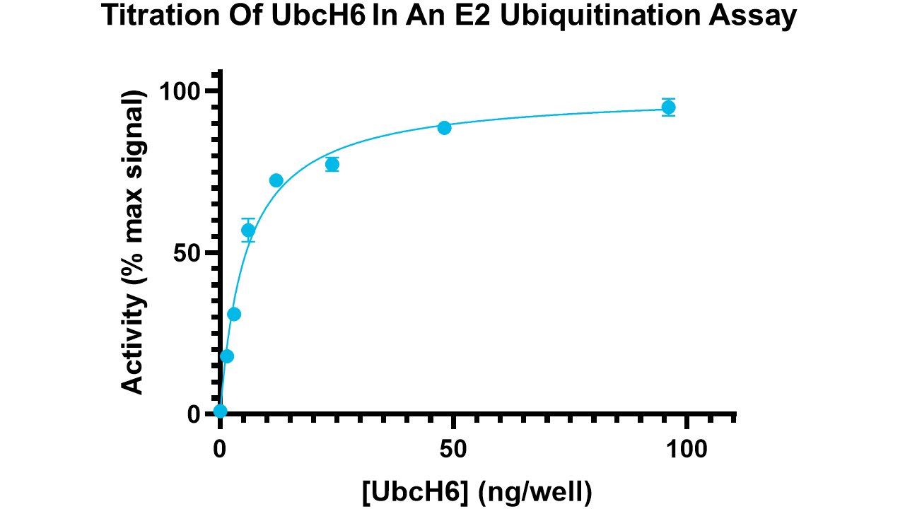 UbcH6, active