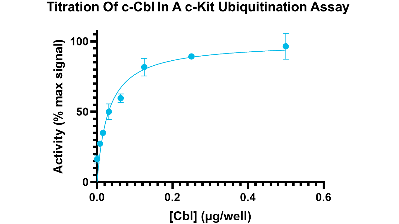 c-Cbl, active