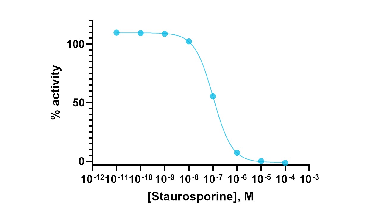 Fyn Kinase Enzyme Activity Assay Kit