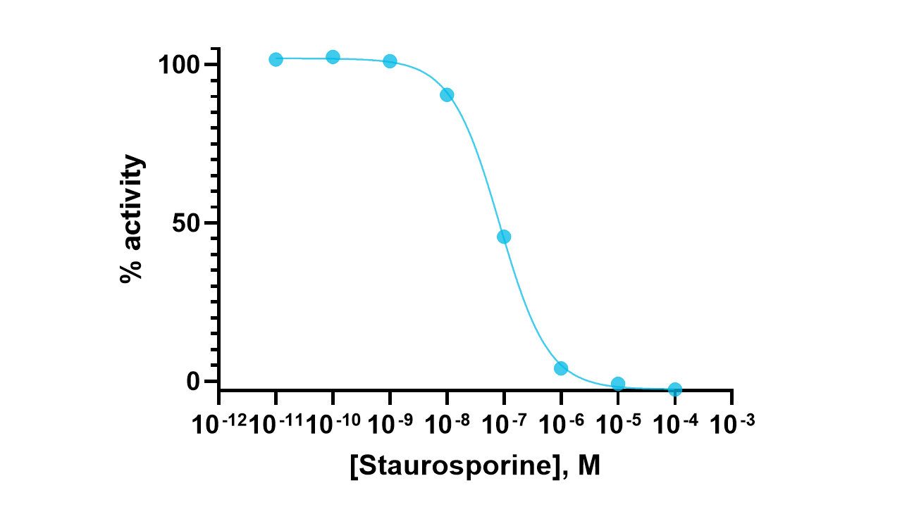 EphB1 Kinase Enzyme Activity Assay Kit