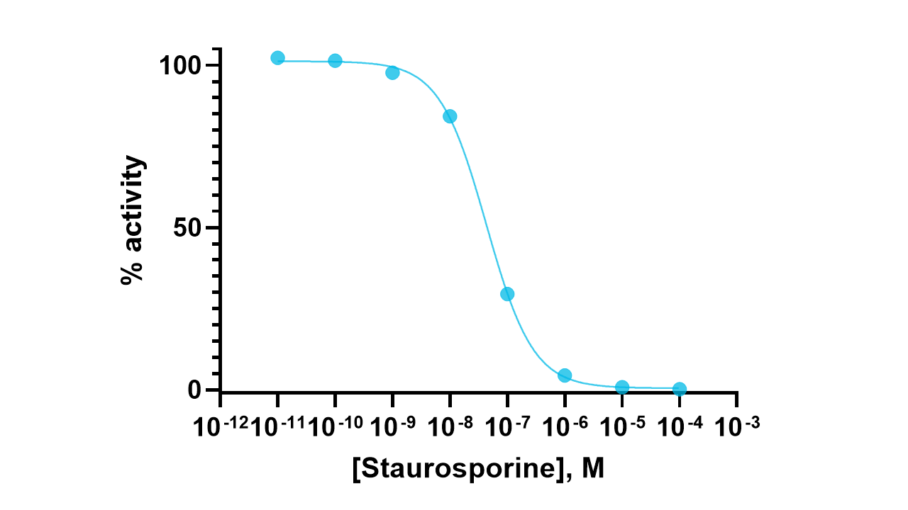 Lck (activated) Kinase Enzyme Activity Assay Kit