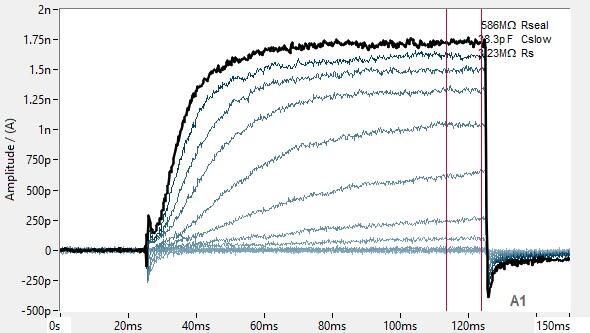 PrecisION™ hKv1.8 Recombinant Stable Cell Line