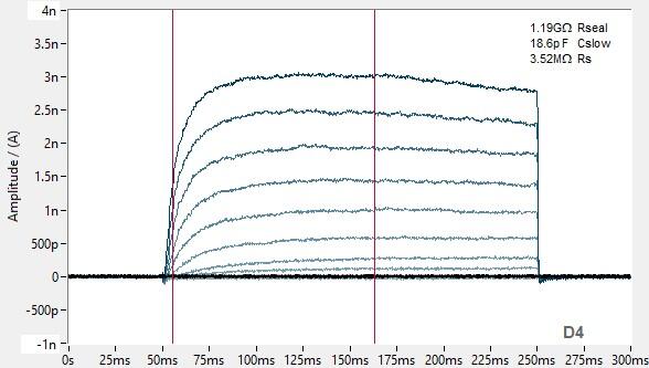 PrecisION™ hKv2.1/hKv9.2 Recombinant Stable Cell Line