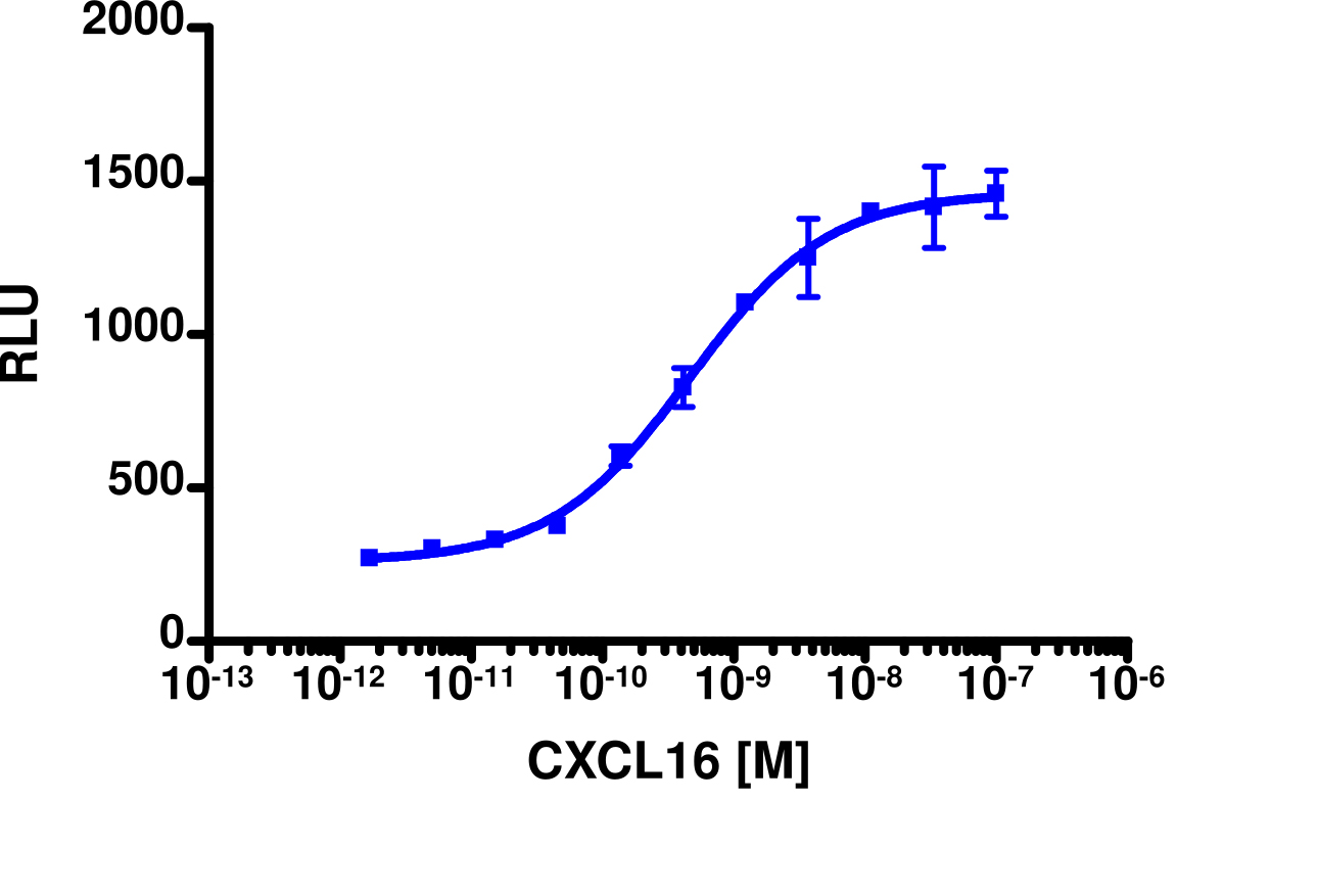 PathHunter® Human CXCL16 (CXCR6) β-Arrestin Stable Cell Line Assay (HEK 293)