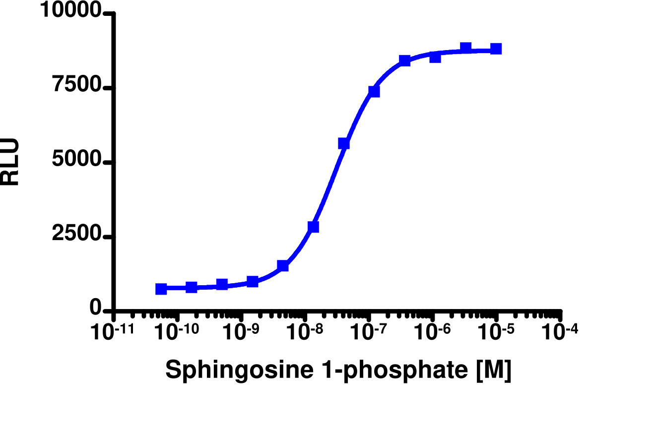 PathHunter® Human S1P1 (EDG1) β-Arrestin Stable Cell Line Assay (CHO-K1)