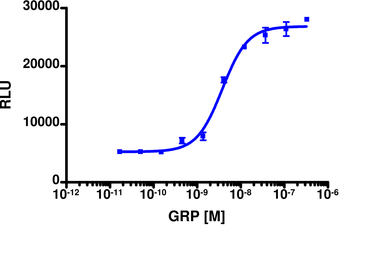 PathHunter® Human GRPR β-Arrestin Stable Cell Line Assay (HEK 293)