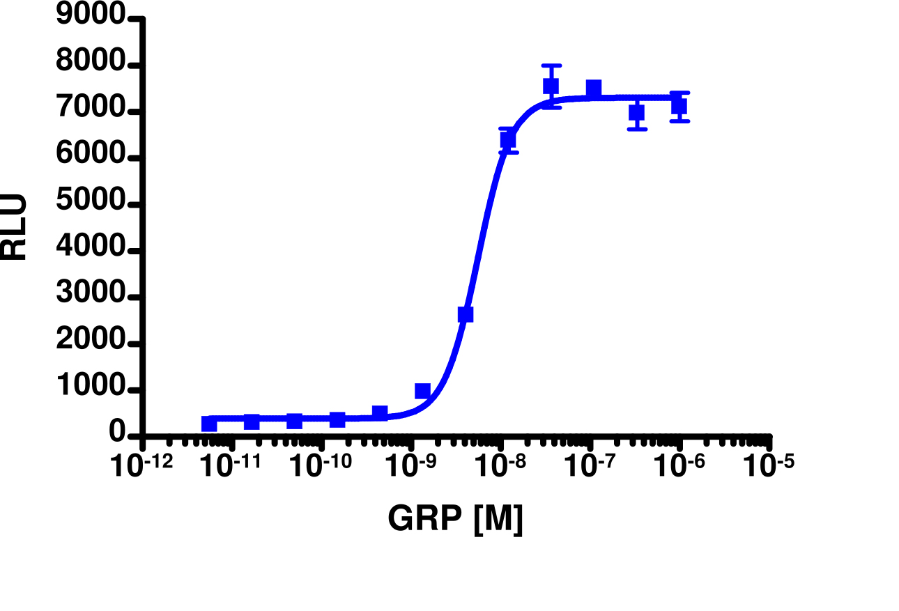 PathHunter® Human GRPR β-Arrestin Stable Cell Line Assay (U2OS)