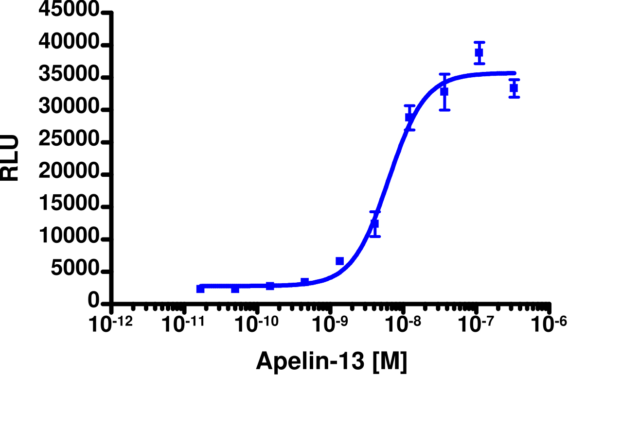 PathHunter® Human Apelin (APJ Receptor) β-Arrestin Stable Cell Line Assay (CHO-K1)