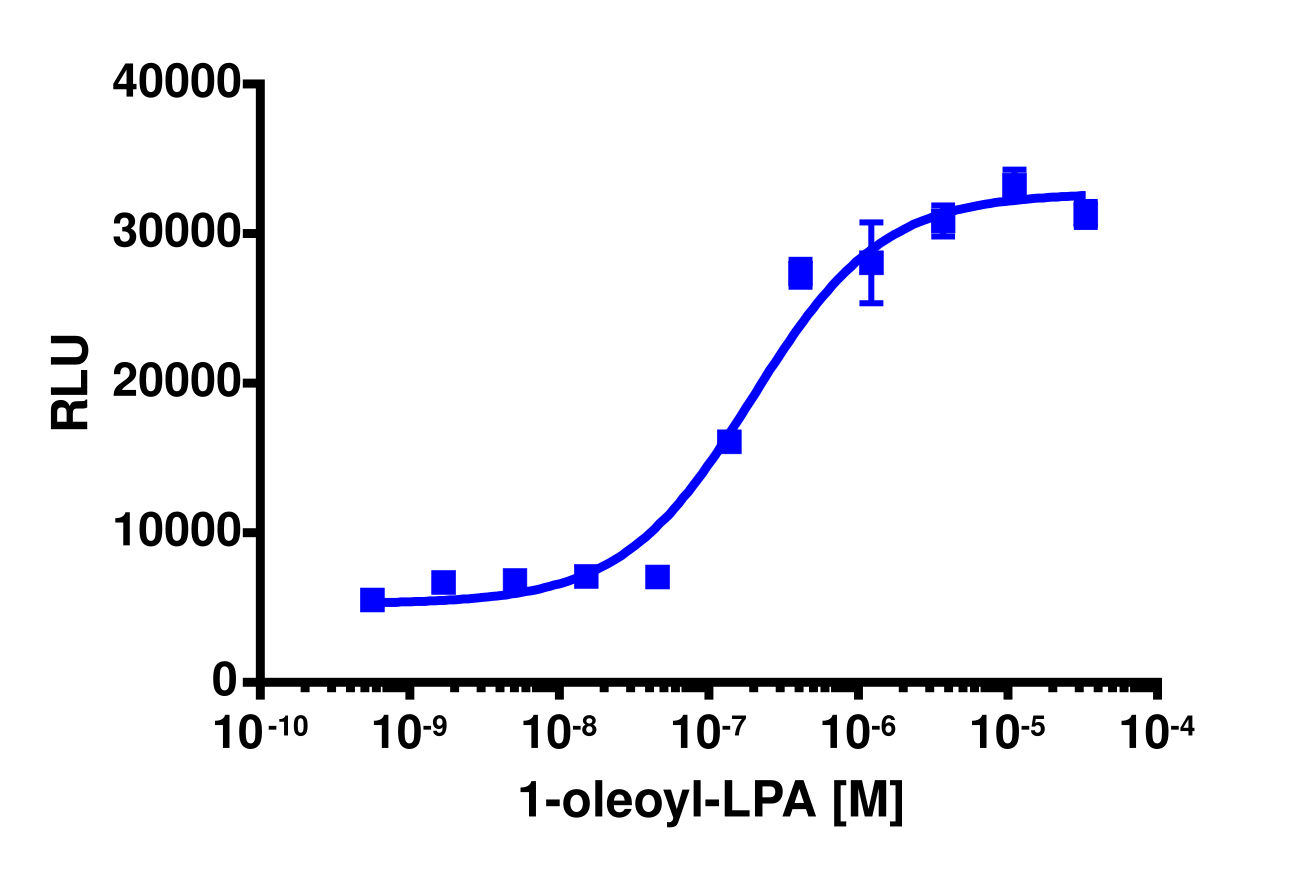 PathHunter® Human LPA2 (EDG4) β-Arrestin Stable Cell Line Assay (CHO-K1)