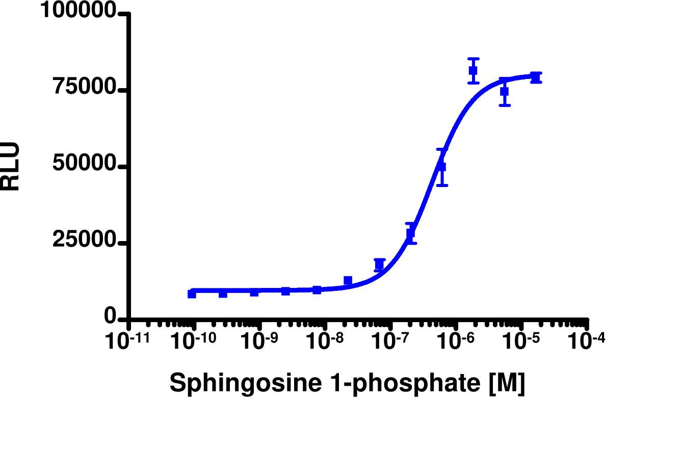 PathHunter® Human S1P2 (EDG5) β-Arrestin Stable Cell Line Assay (CHO-K1)