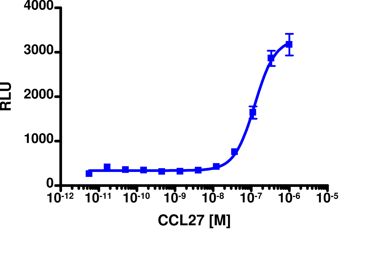 PathHunter® Human CTACK (CCR10) β-Arrestin Stable Cell Line Assay (U2OS)