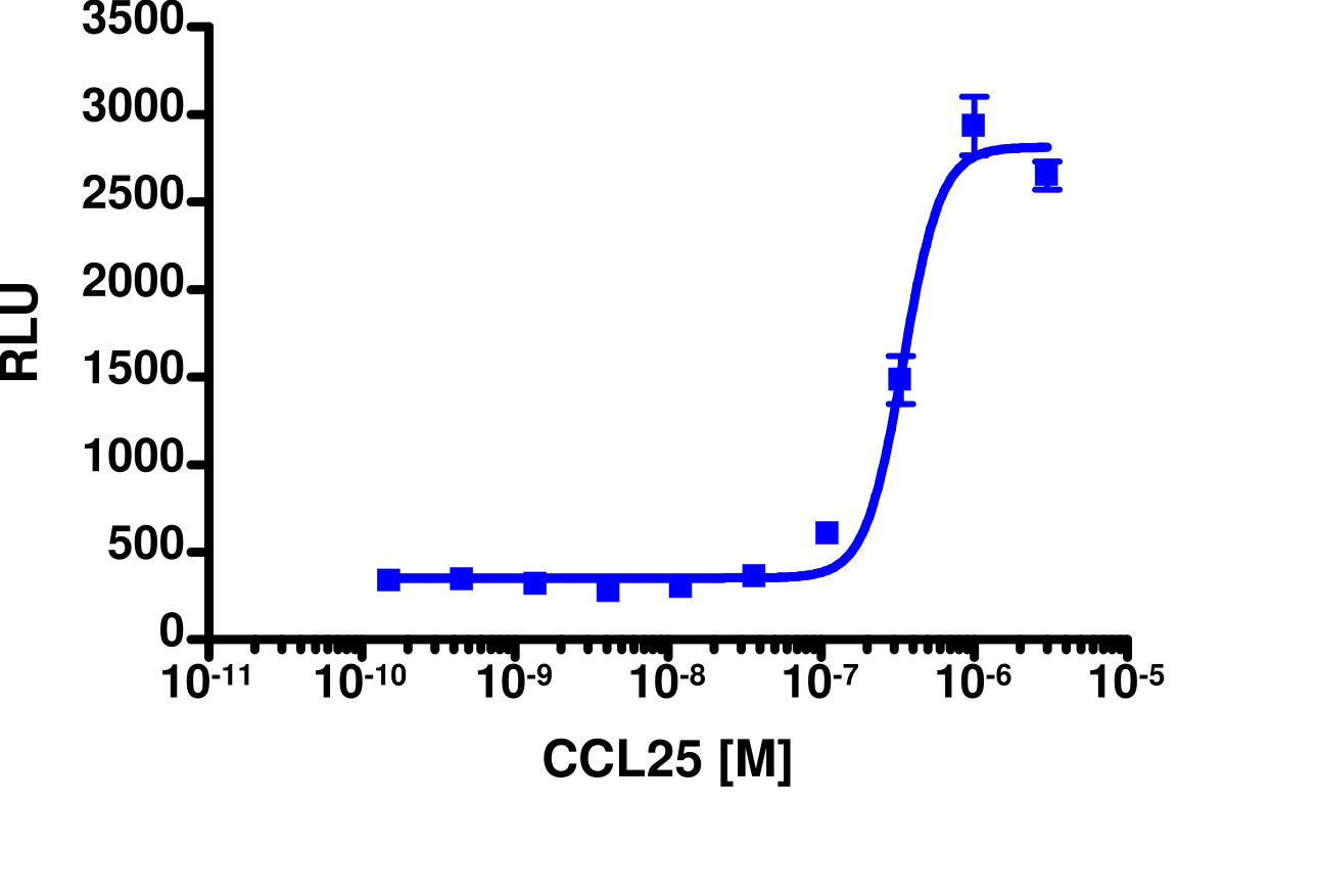 PathHunter® Human CCL25 (CCR9) β-Arrestin Stable Cell Line Assay (CHO-K1)