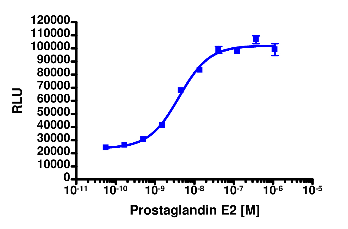 PathHunter® Human PTGER4 β-Arrestin Cell-Based Assay Kit (HEK 293)