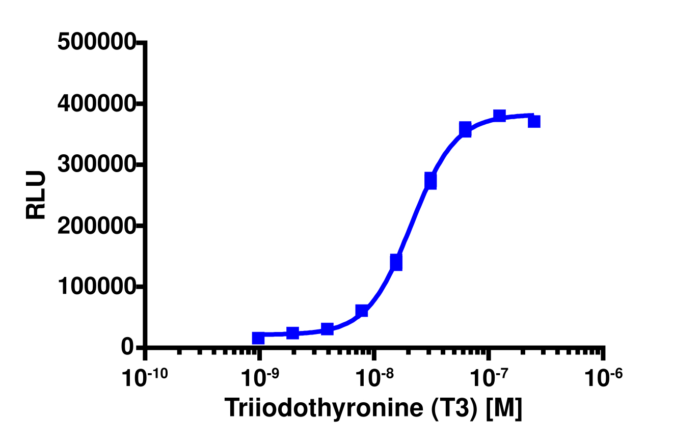PathHunter® Human THR alpha Nuclear Receptor Stable Cell Line Protein Interaction Assay (CHO-K1)