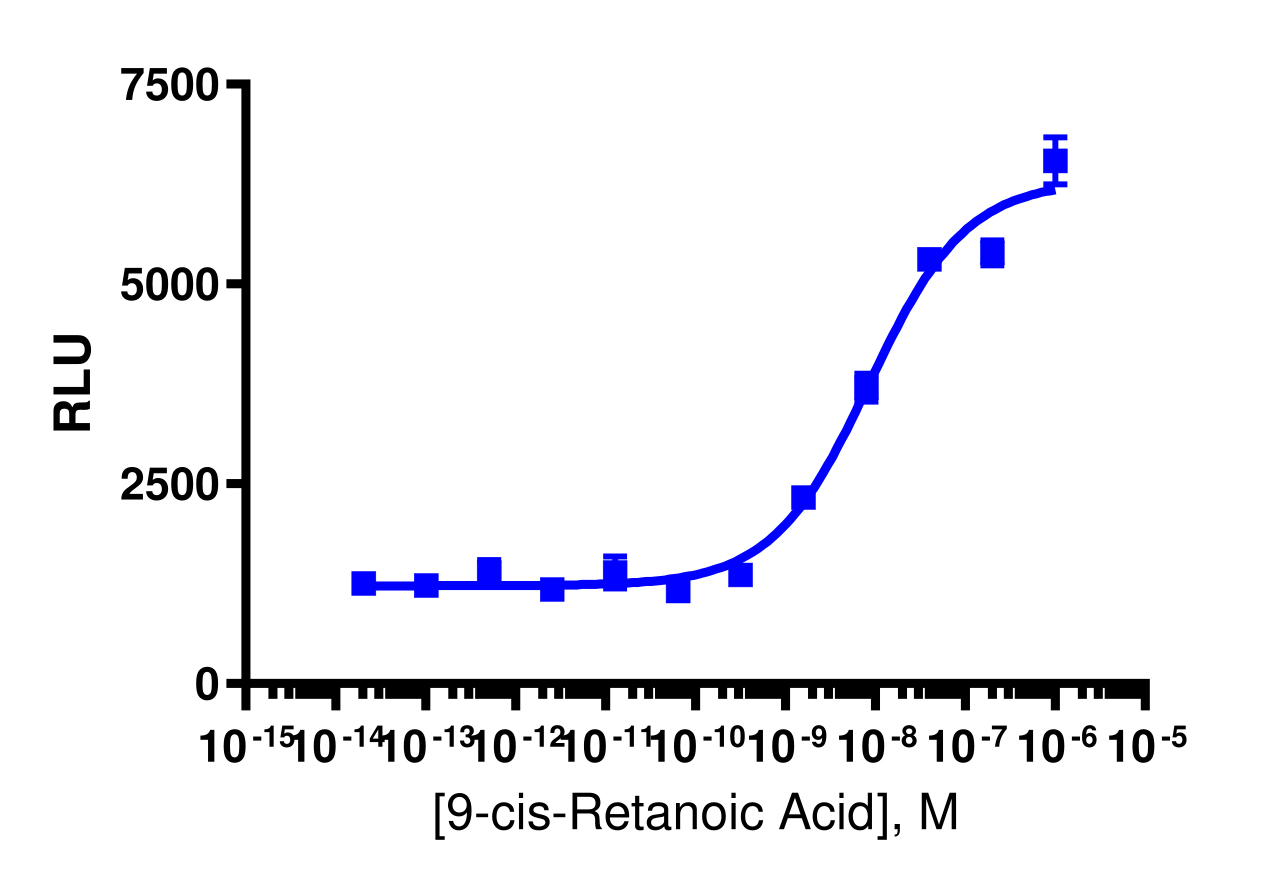 PathHunter® Human RAR alpha Nuclear Receptor Protein Interaction Cell-Based Assay Kit (CHO-K1)