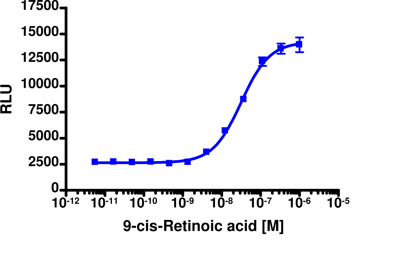 PathHunter® Human RAR  beta Nuclear Receptor Stable Cell Line Protein Interaction Assay (CHO-K1)