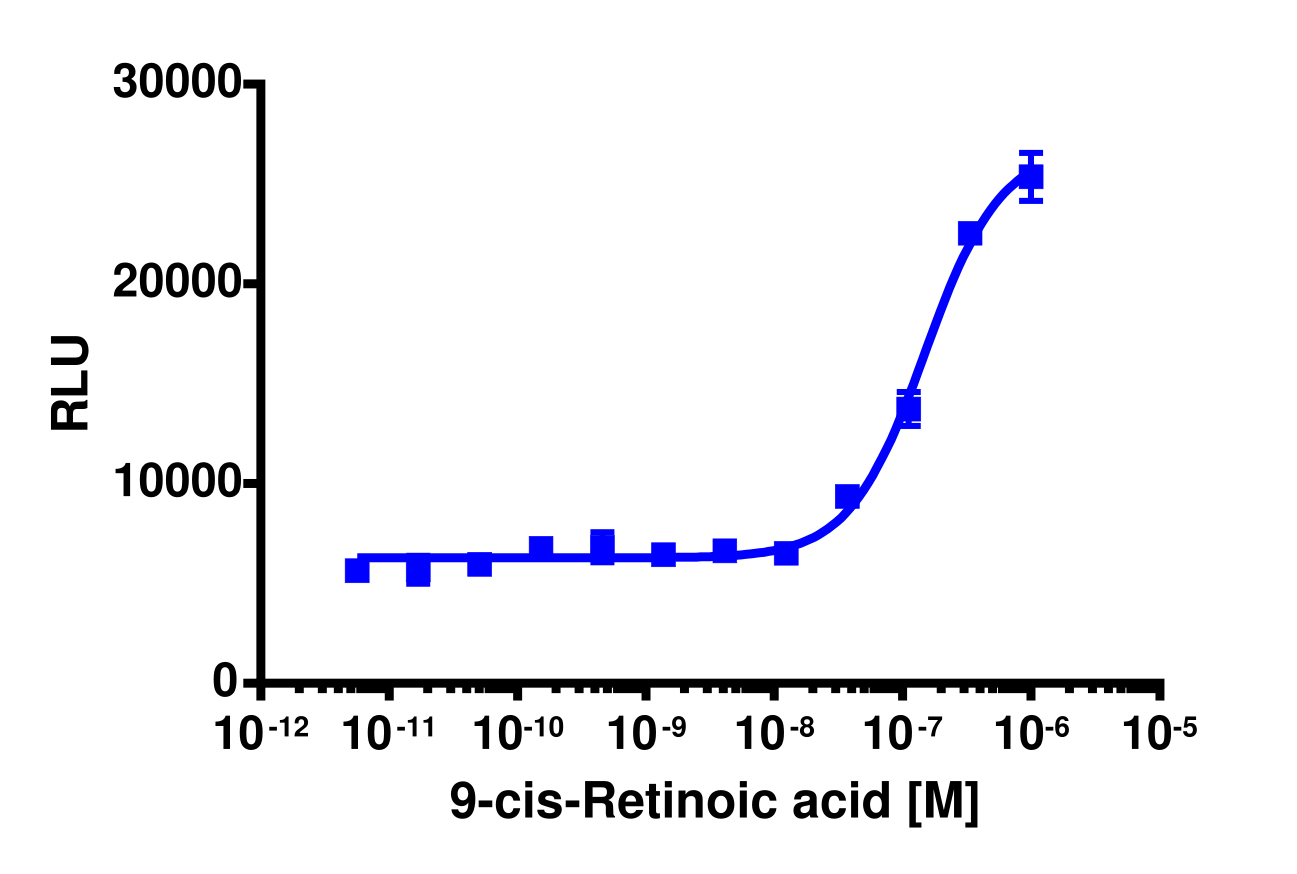 PathHunter® Human RXR gamma Nuclear Receptor Stable Cell Line Protein Interaction Assay (CHO-K1)