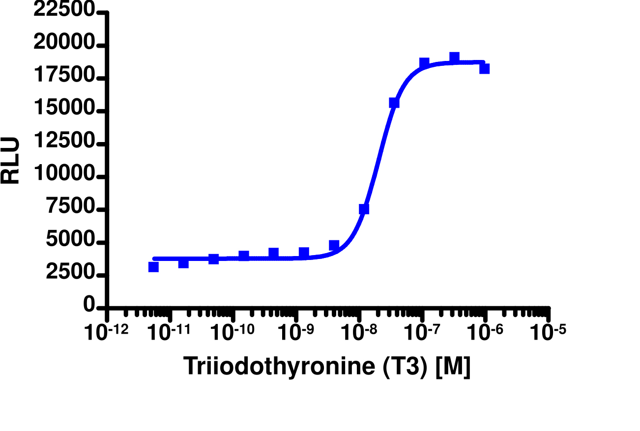 PathHunter® Human THR beta Nuclear Receptor Protein Interaction Cell-Based Assay Kit (CHO-K1)