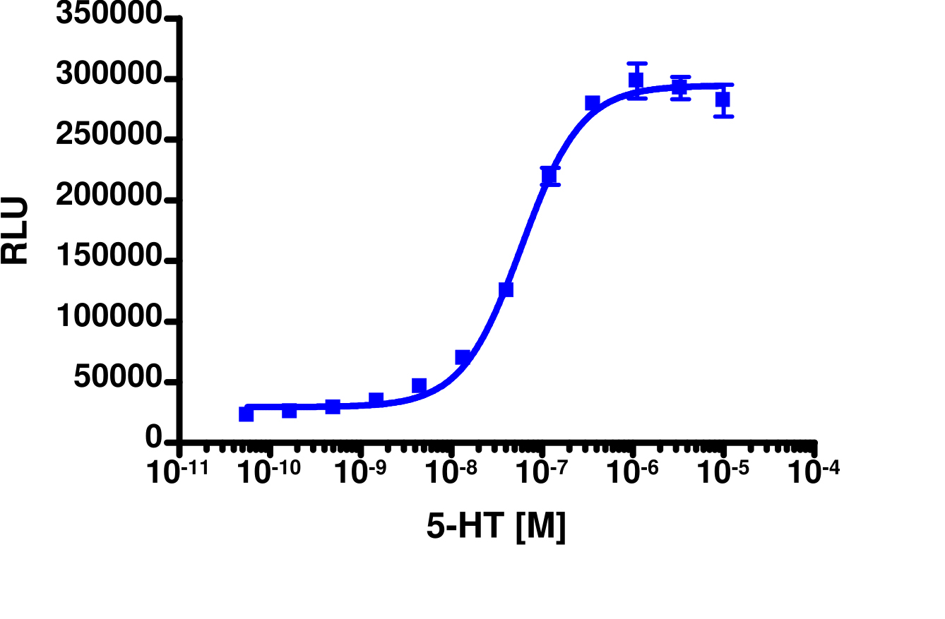 PathHunter® Human HTR2A (5-HT2A) β-Arrestin Stable Cell Line Assay (U2OS)