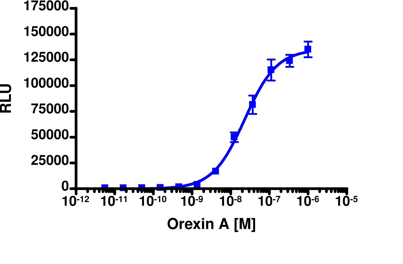 PathHunter® Human HCRTR2 β-Arrestin Stable Cell Line Assay (CHO-K1)