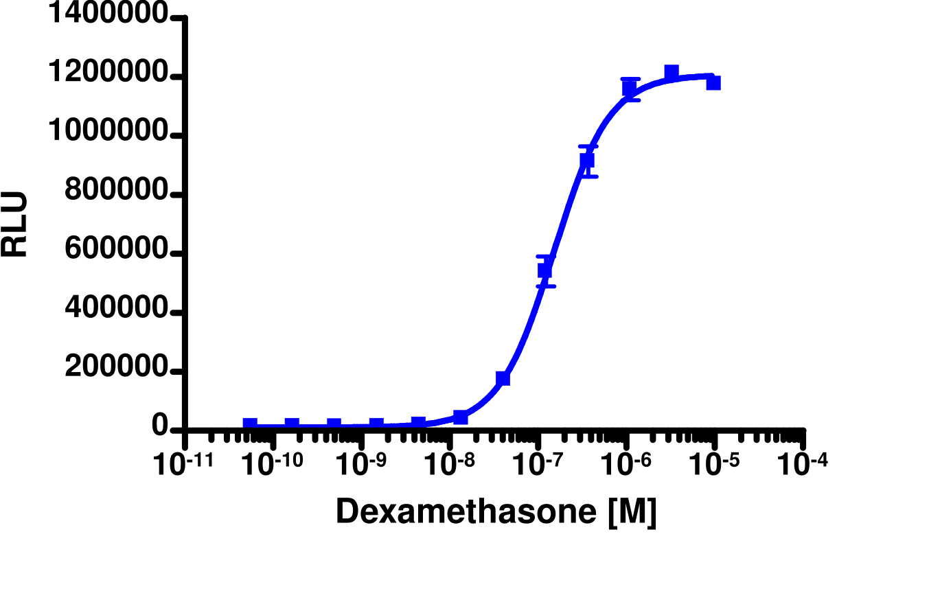 PathHunter® Human GR Nuclear Receptor Stable Cell Line Protein Interaction Assay (CHO-K1)
