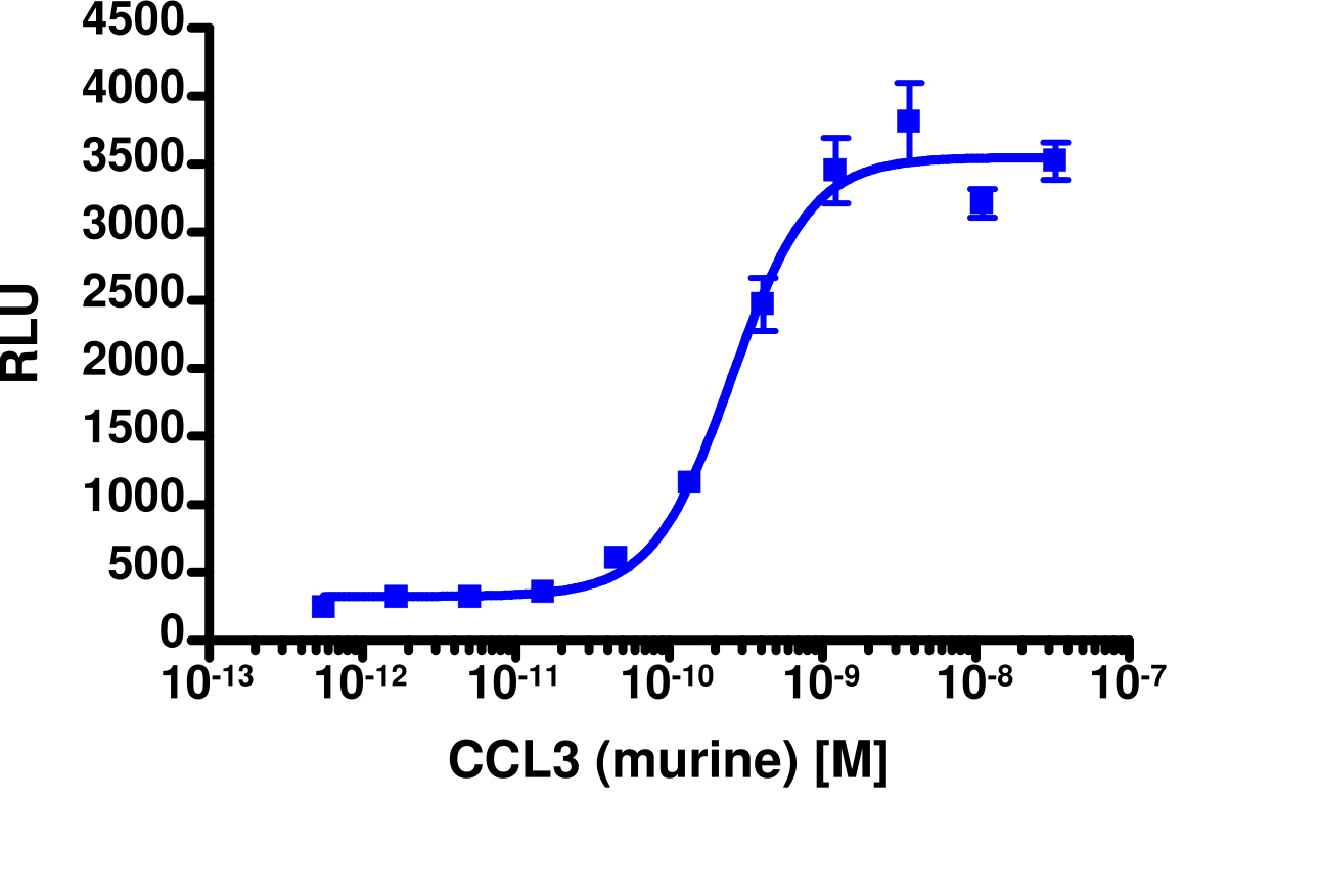 PathHunter® Mouse MIP-1 alpha (CCR5) β-Arrestin Stable Cell Line Assay (CHO-K1)