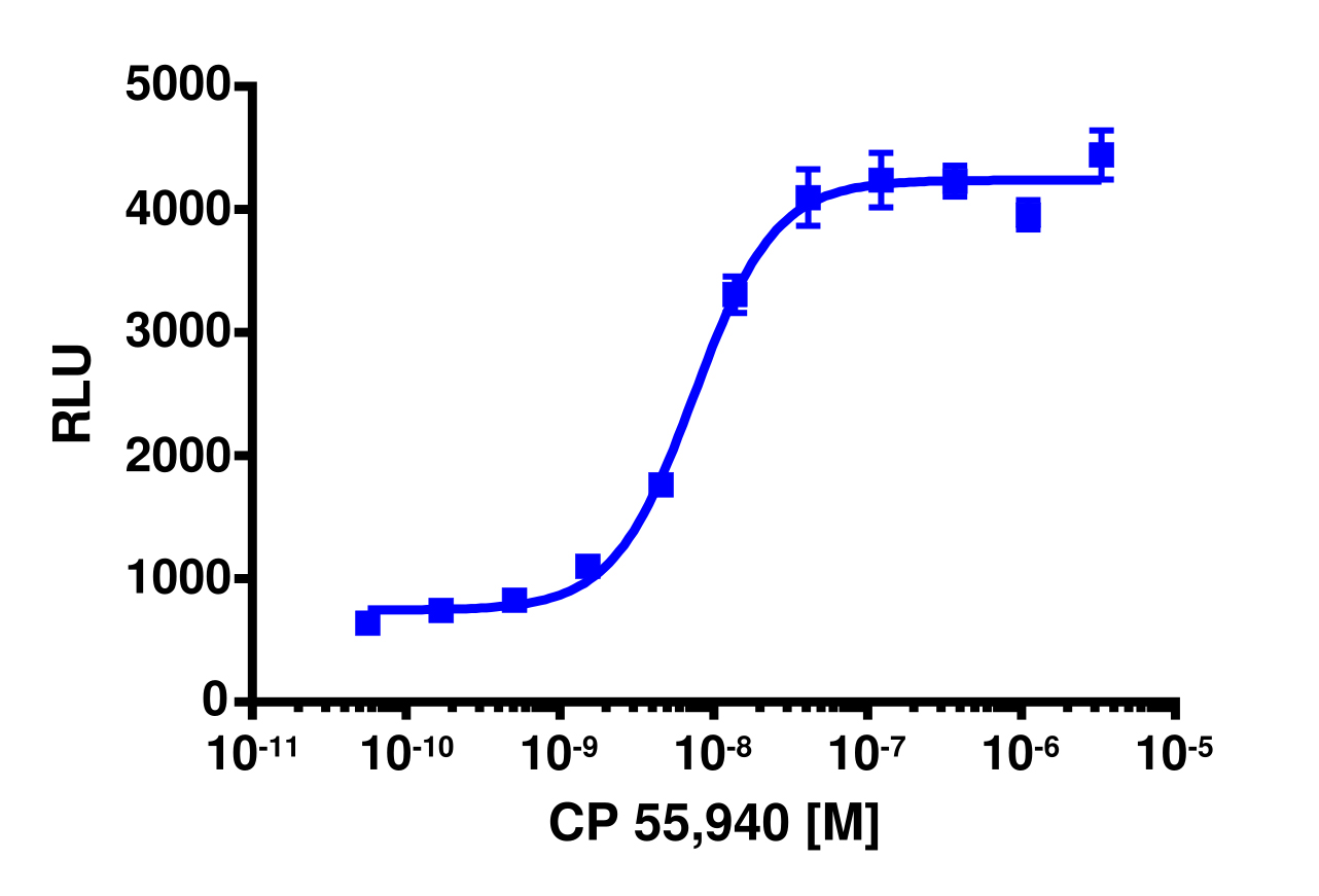 PathHunter® Mouse CNR2 (CB2) β-Arrestin Stable Cell Line Assay (CHO-K1)