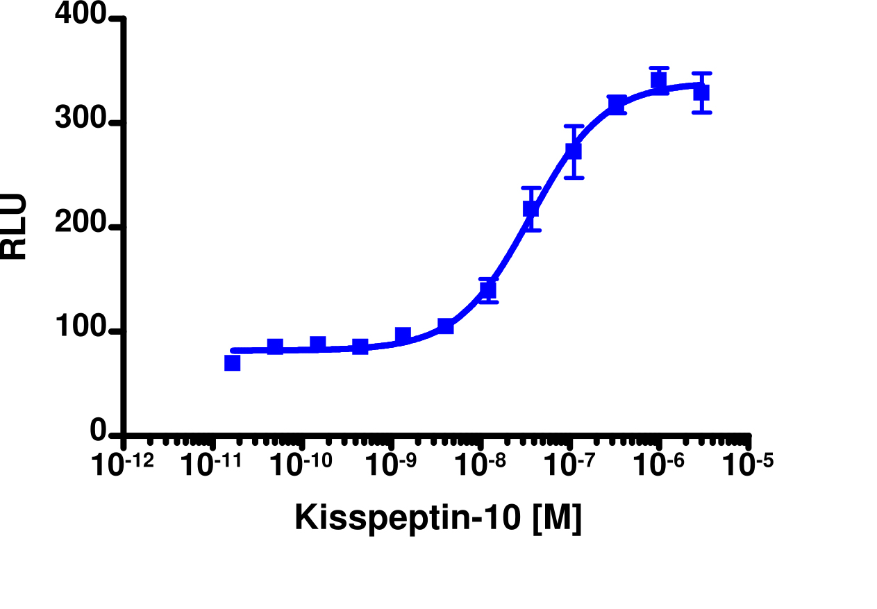 PathHunter® Human KISS1R β-Arrestin Stable Cell Line Assay (C2C12)