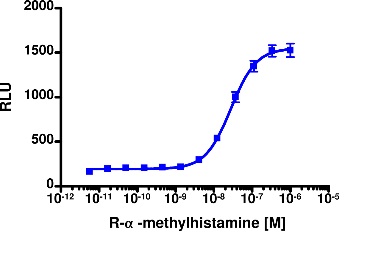 PathHunter® Human HRH3 (H3) β-Arrestin Stable Cell Line Assay (CHO-K1)