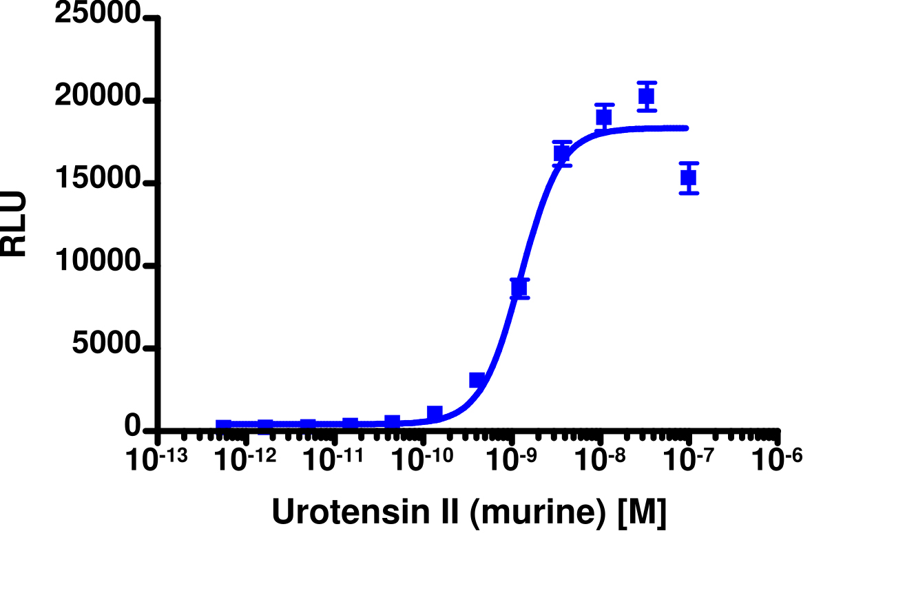 PathHunter® Mouse UTR2 β-Arrestin Stable Cell Line Assay (CHO-K1)