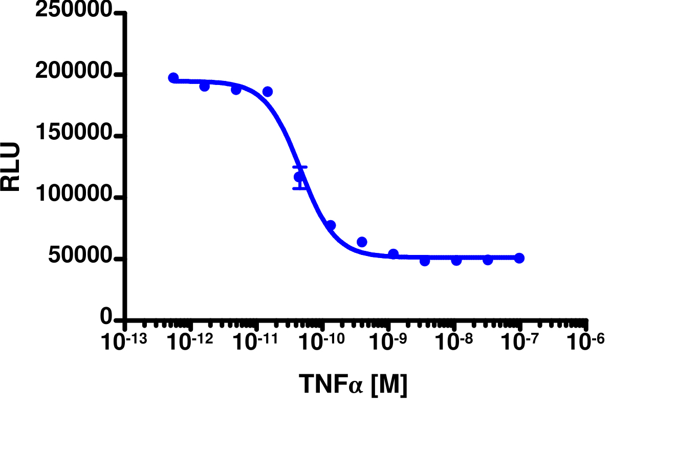 PathHunter® Human IkB Degradation Stable Cell Line Assay (THP-1)