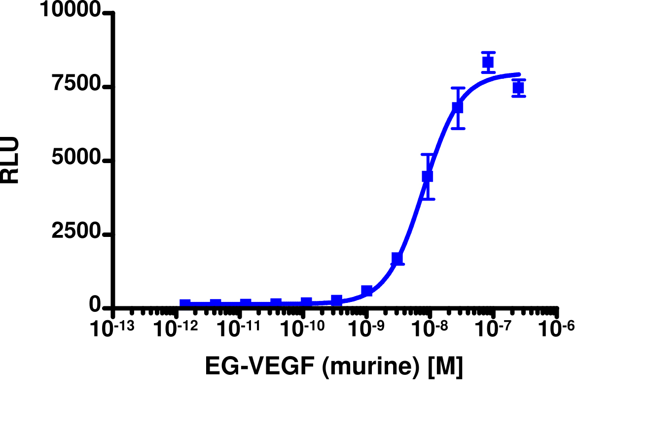PathHunter® Rat PROKR1 β-Arrestin Stable Cell Line Assay (CHO-K1)