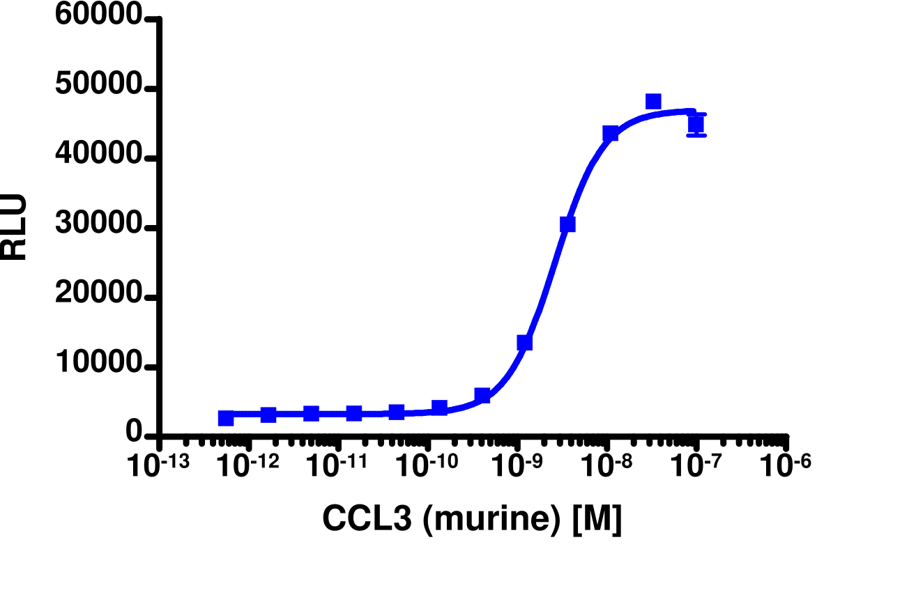PathHunter® Mouse MIP-1 alpha (CCR1) β-Arrestin Stable Cell Line Assay (U2OS)
