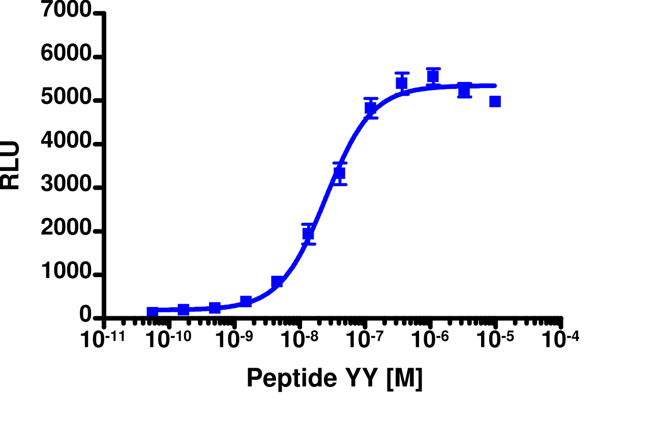 PathHunter® Mouse PYY (NPY2R) β-Arrestin Stable Cell Line Assay (CHO-K1)