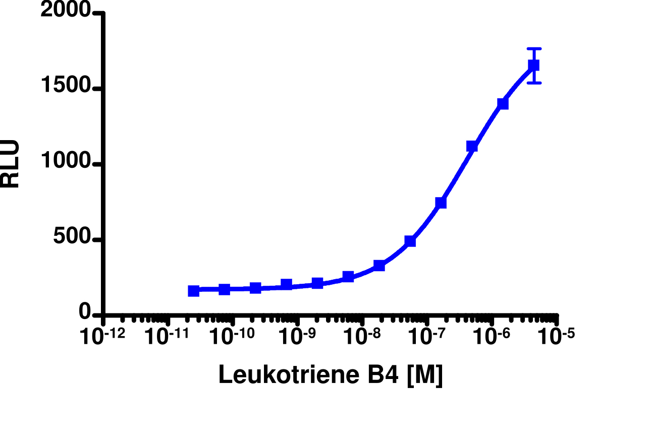 PathHunter® Mouse LTB4R β-Arrestin Stable Cell Line Assay (CHO-K1)