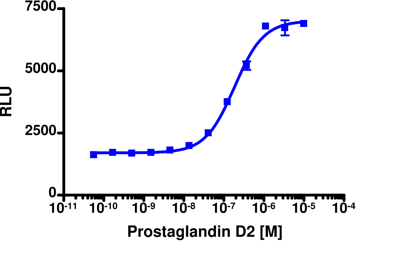 PathHunter® Rat CRTH2 β-Arrestin Stable Cell Line Assay (CHO-K1)