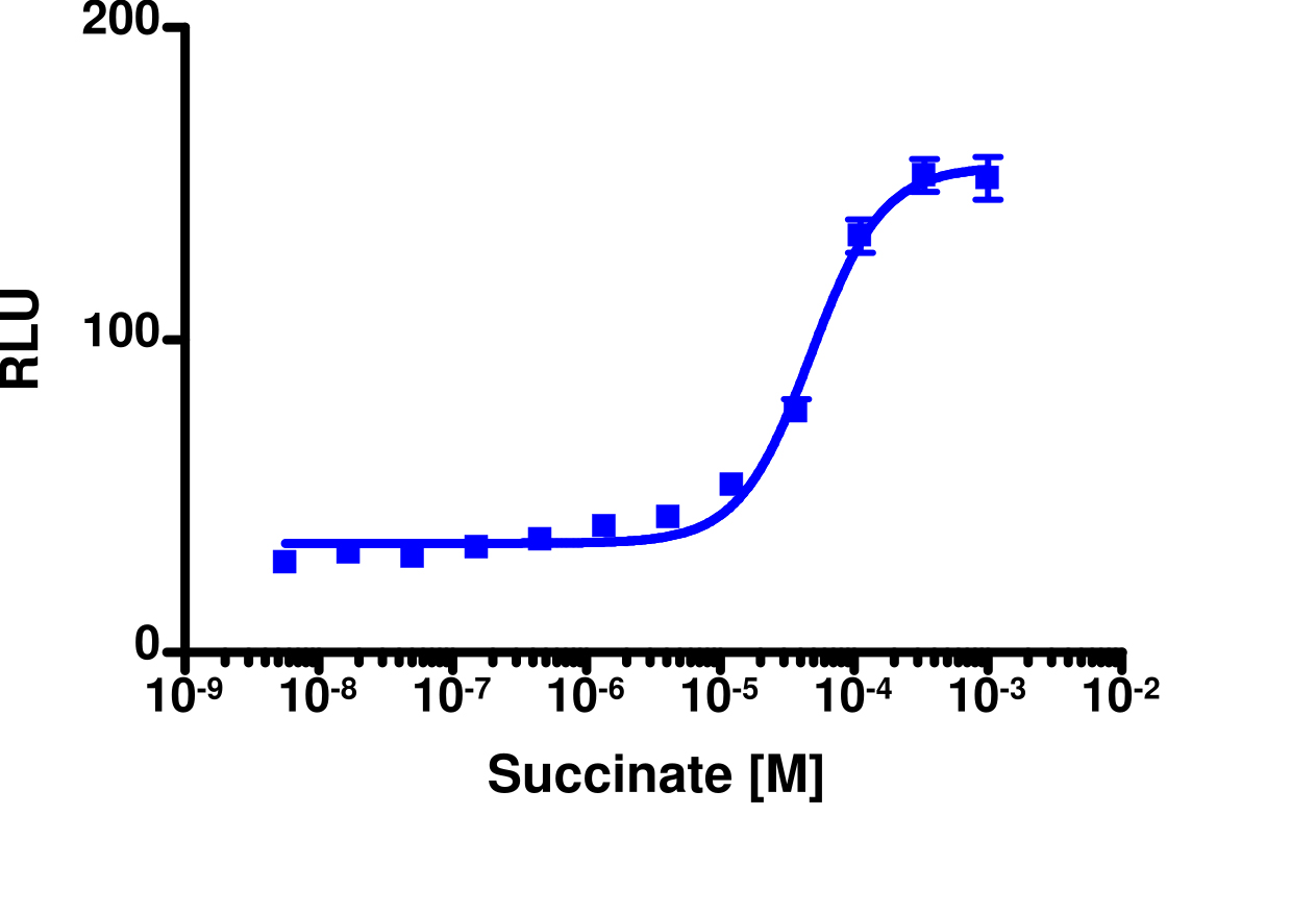 PathHunter® Canine GPR91 β-Arrestin Stable Cell Pool Assay (CHO-K1)