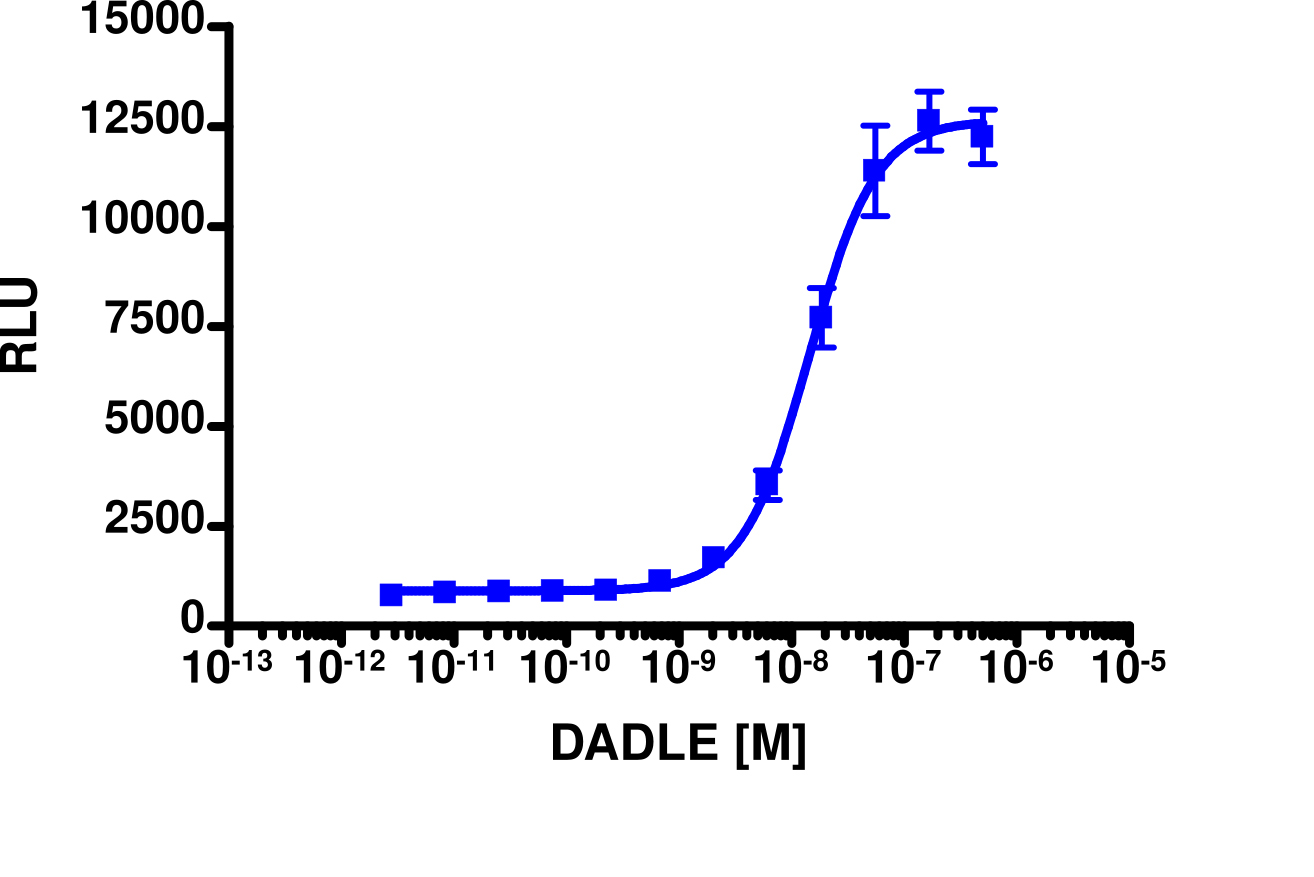 PathHunter® Mouse OPRD1 (Opioid Delta) β-Arrestin Cell-Based Assay Kit (CHO-K1)