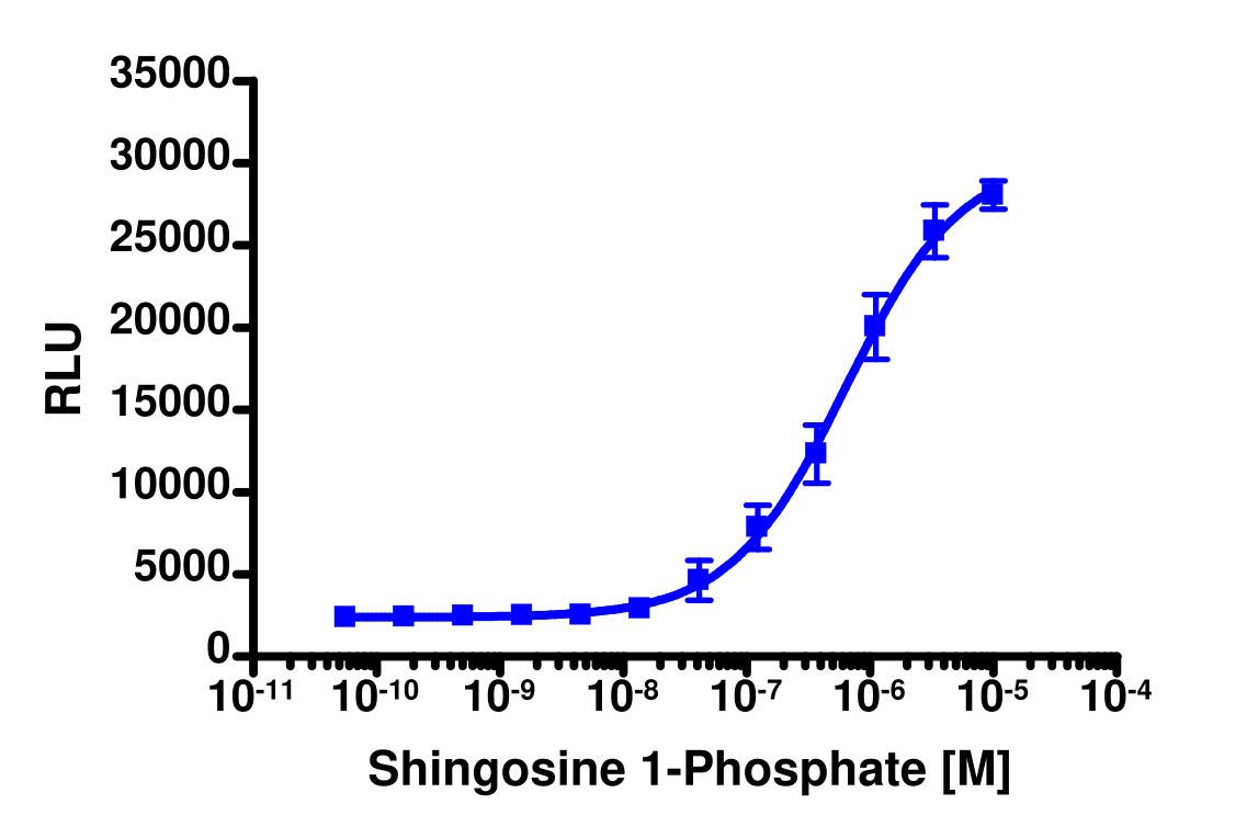 PathHunter® Rhesus EDG5 β-Arrestin Cell-Based Assay Kit (CHO-K1)