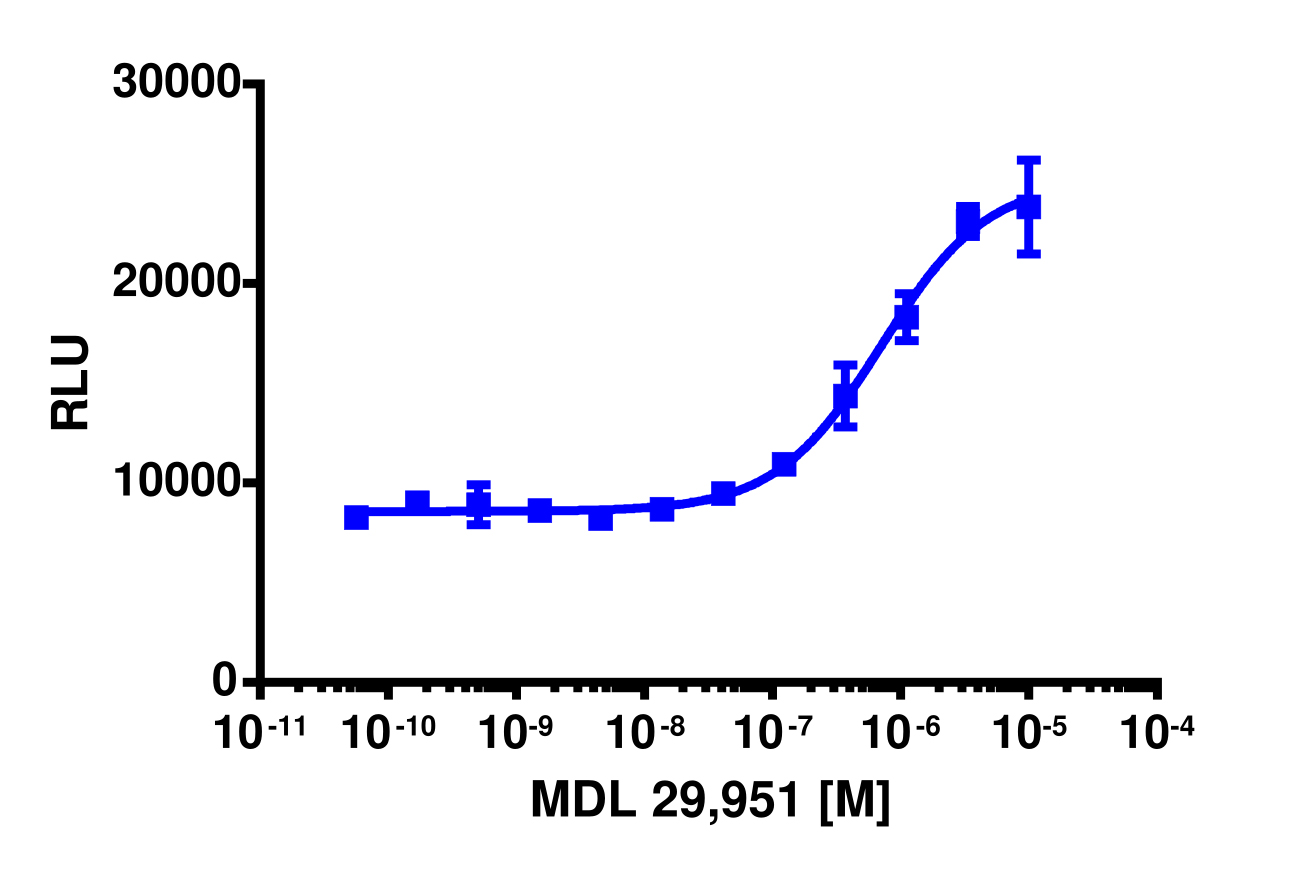 PathHunter® Human GPR17 β-Arrestin Stable Cell Line Assay (U2OS)