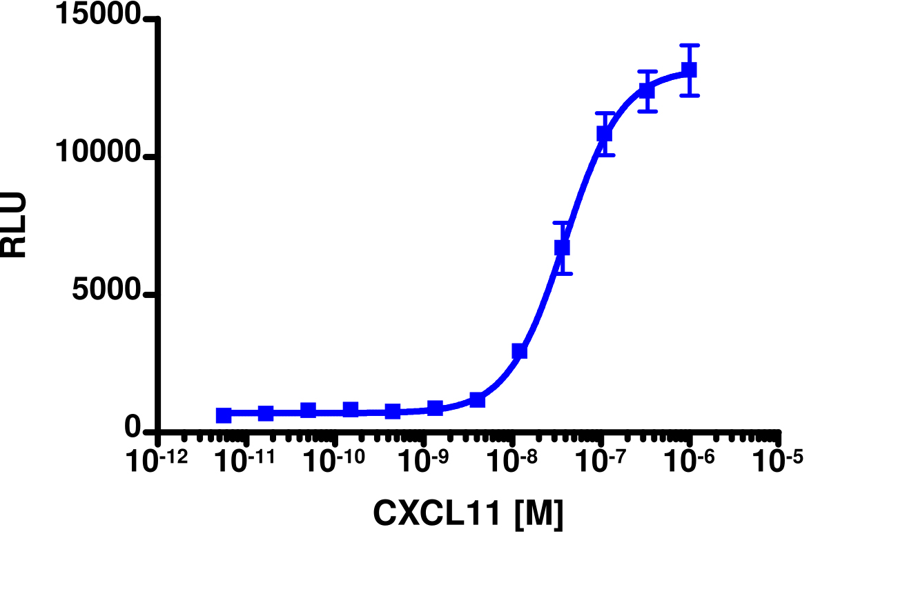 PathHunter® Human CXCL11 (CXCR3) Stable Cell Line Activated GPCR Internalization Assay (U2OS)