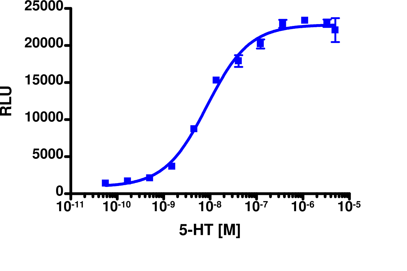 PathHunter® Human HTR2C (5-HT2C) Stable Cell Line Activated GPCR Internalization Assay (U2OS)