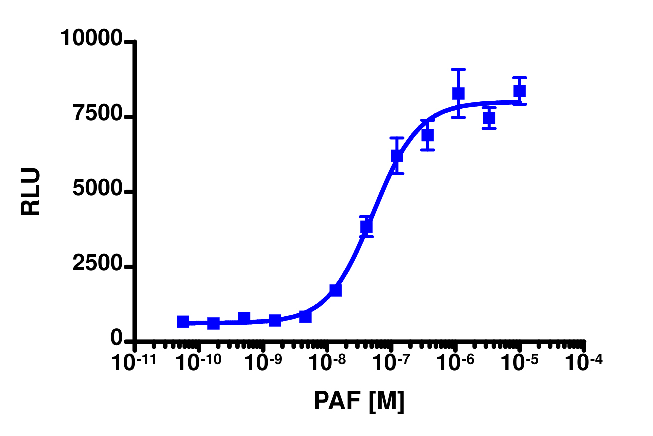 PathHunter® Human PTAFR Activated GPCR Internalization Cell-Based Assay Kit (U2OS)