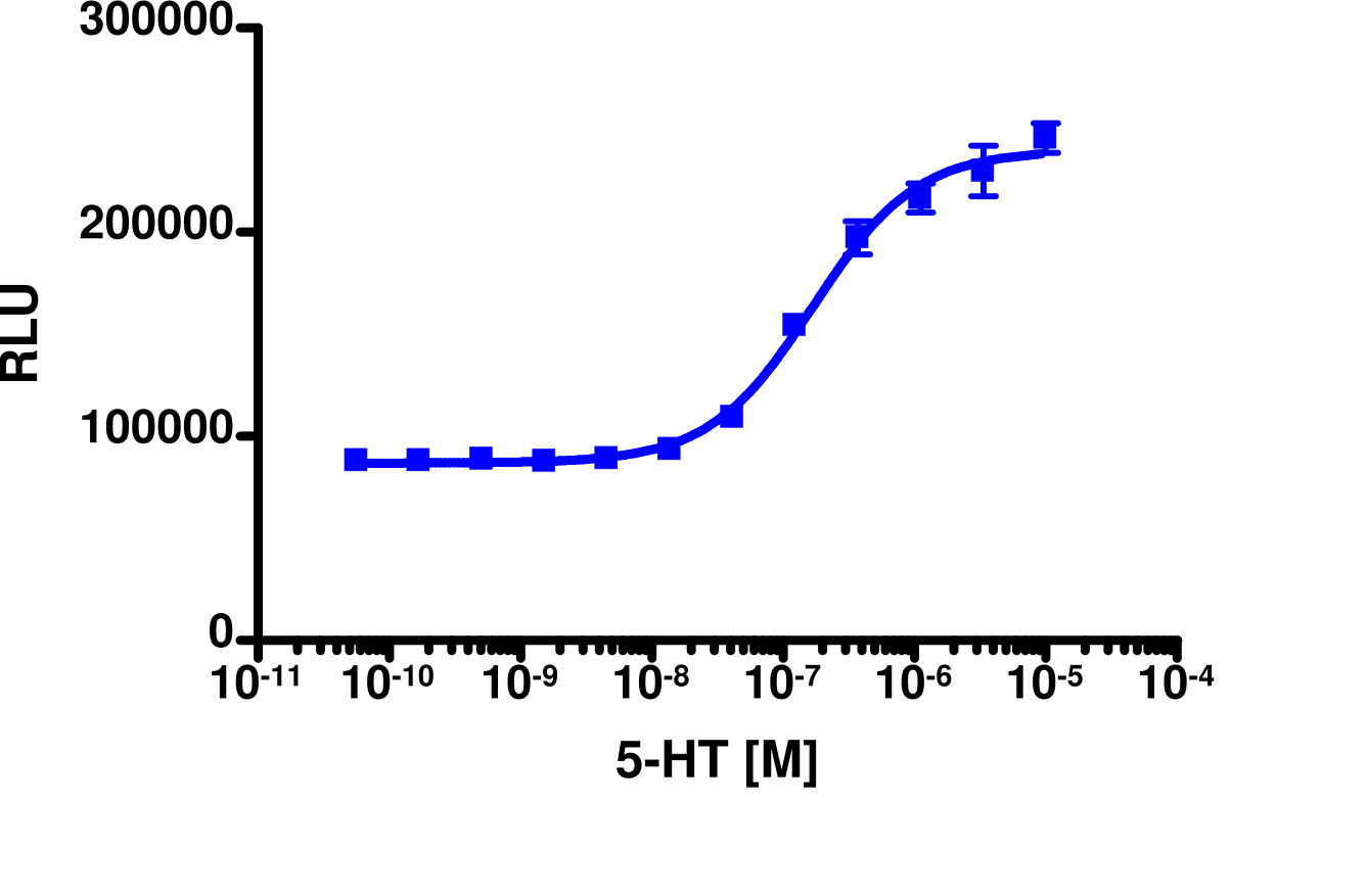 PathHunter® Human HTR1B (5-HT1B) β-Arrestin Stable Cell Line Assay (U2OS)